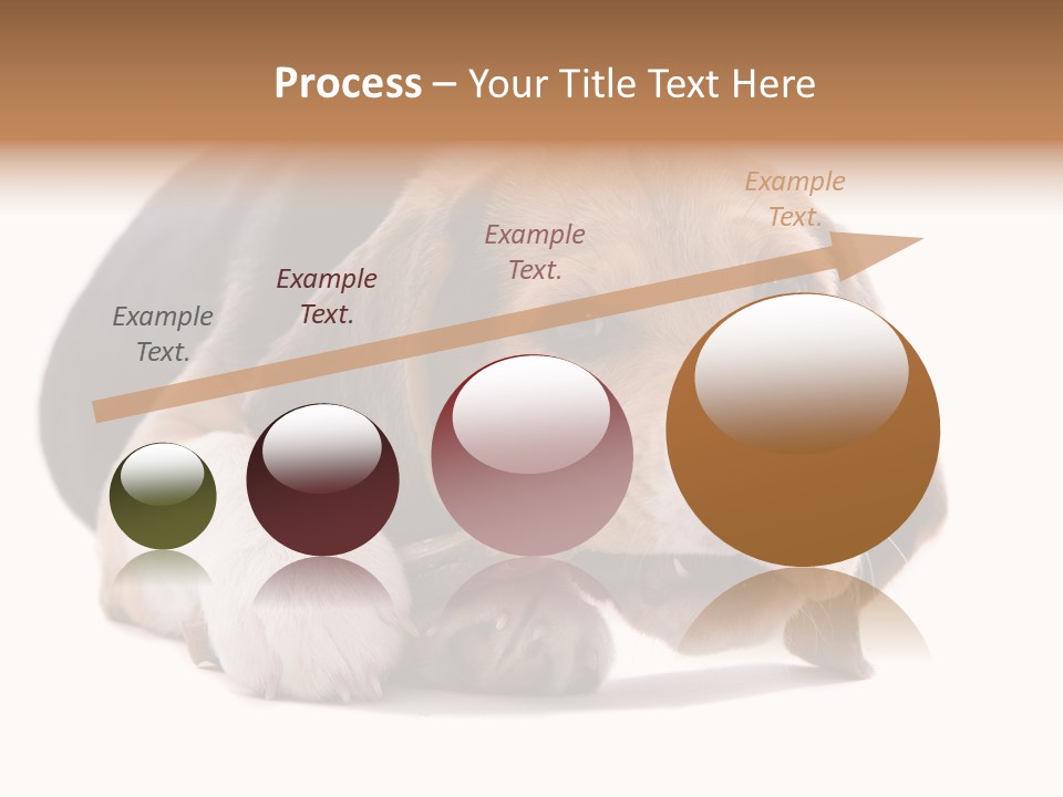 A Dog Laying Down With A Bone In Its Mouth PowerPoint Template