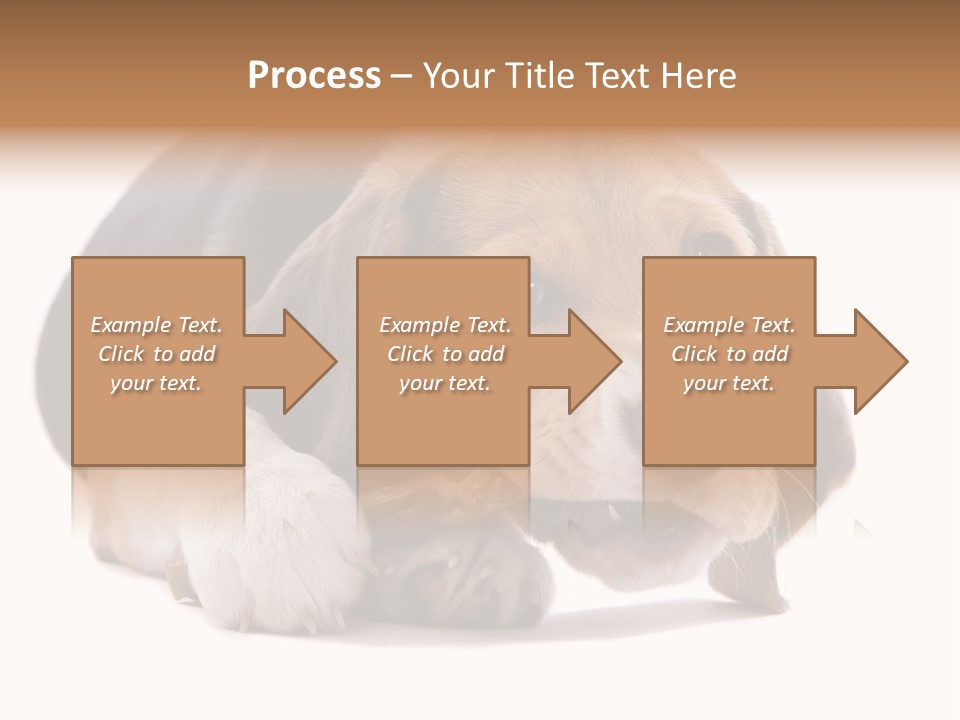 A Dog Laying Down With A Bone In Its Mouth PowerPoint Template