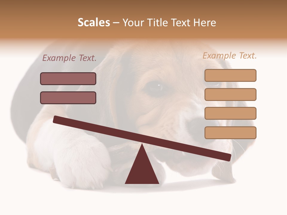 A Dog Laying Down With A Bone In Its Mouth PowerPoint Template