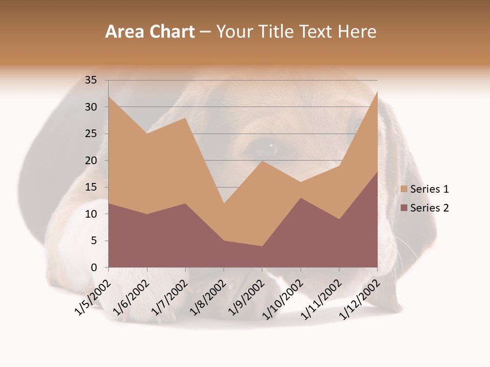 A Dog Laying Down With A Bone In Its Mouth PowerPoint Template