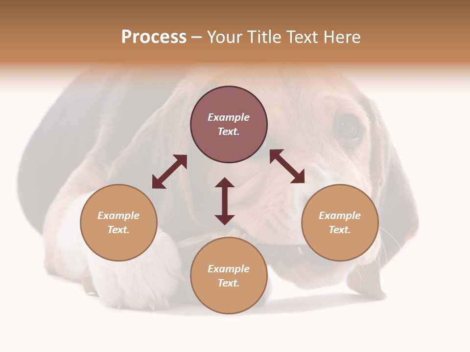 A Dog Laying Down With A Bone In Its Mouth PowerPoint Template