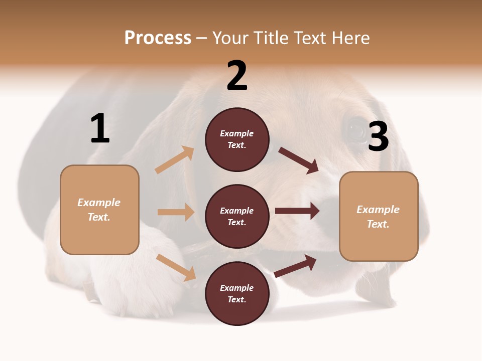 A Dog Laying Down With A Bone In Its Mouth PowerPoint Template