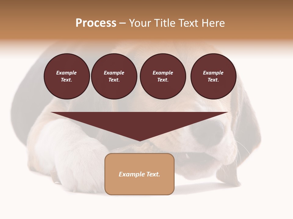 A Dog Laying Down With A Bone In Its Mouth PowerPoint Template