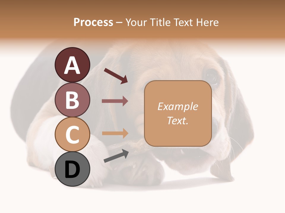 A Dog Laying Down With A Bone In Its Mouth PowerPoint Template