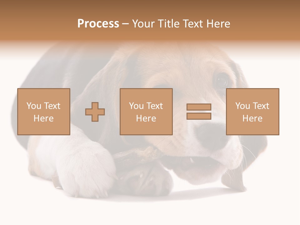 A Dog Laying Down With A Bone In Its Mouth PowerPoint Template
