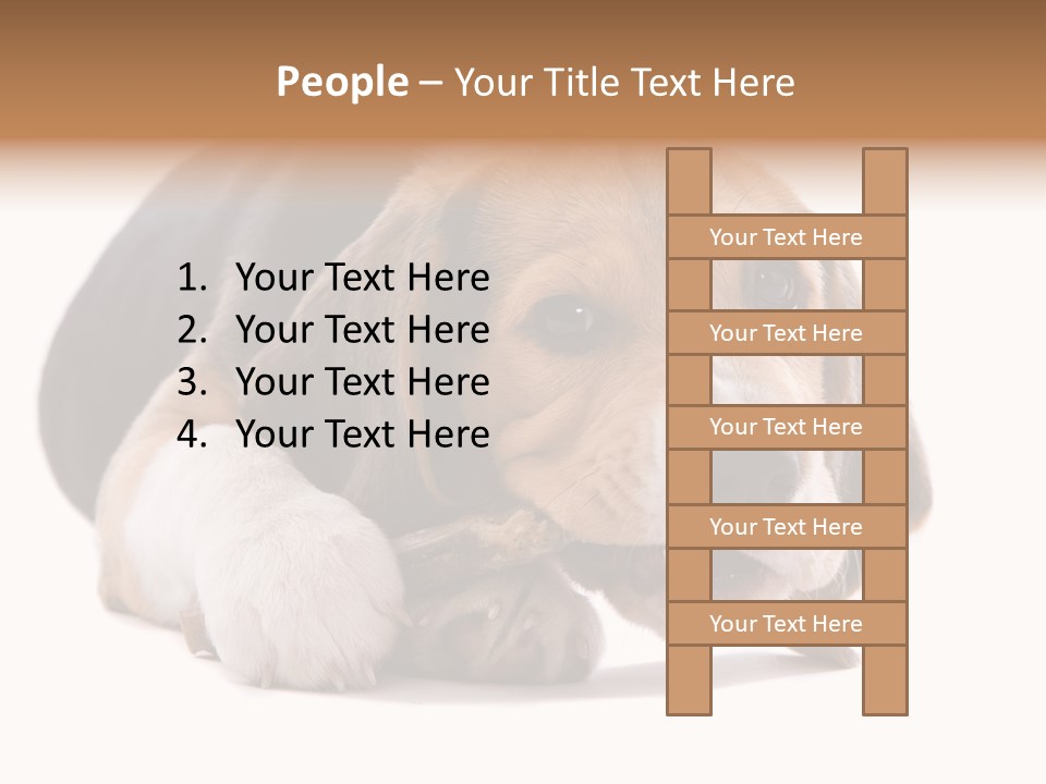 A Dog Laying Down With A Bone In Its Mouth PowerPoint Template