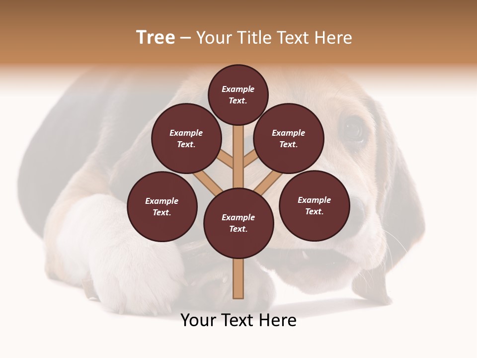 A Dog Laying Down With A Bone In Its Mouth PowerPoint Template