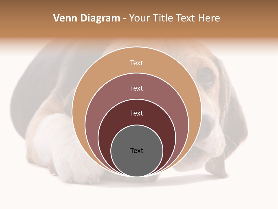 A Dog Laying Down With A Bone In Its Mouth PowerPoint Template