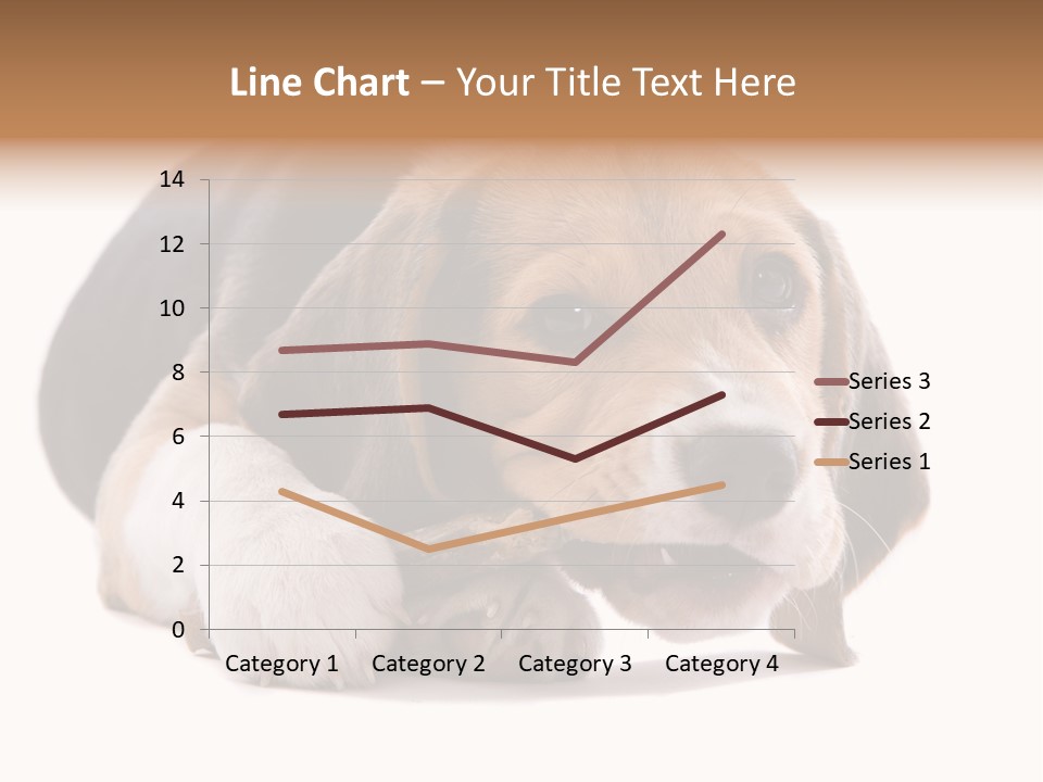 A Dog Laying Down With A Bone In Its Mouth PowerPoint Template