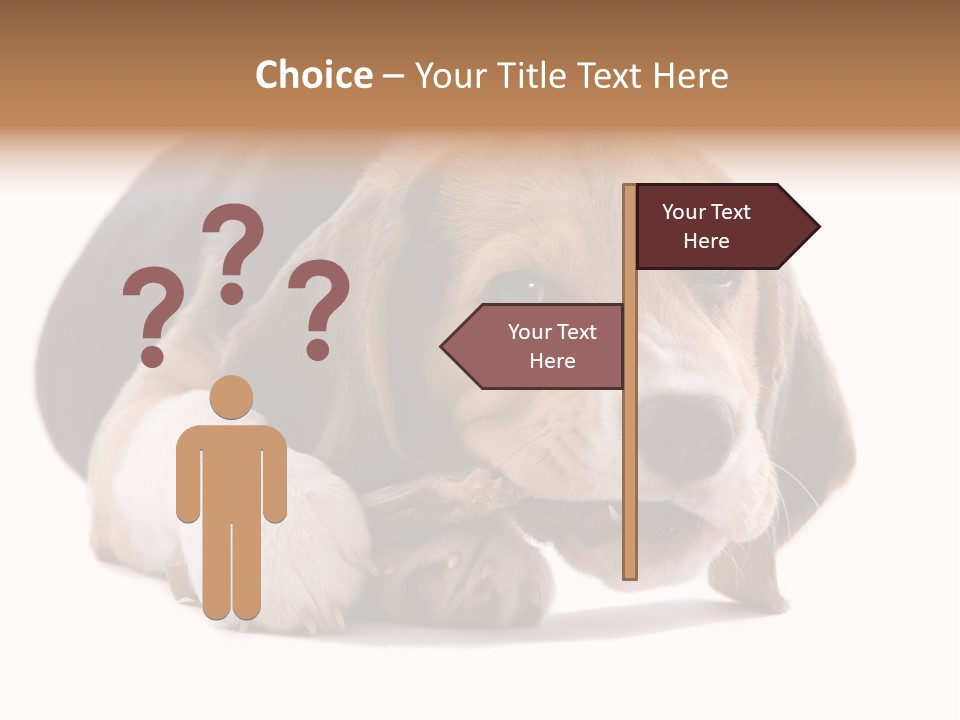 A Dog Laying Down With A Bone In Its Mouth PowerPoint Template