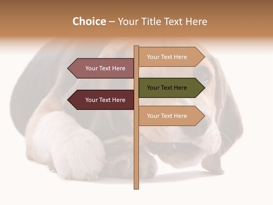 A Dog Laying Down With A Bone In Its Mouth PowerPoint Template