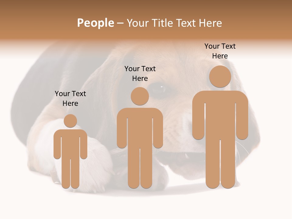 A Dog Laying Down With A Bone In Its Mouth PowerPoint Template