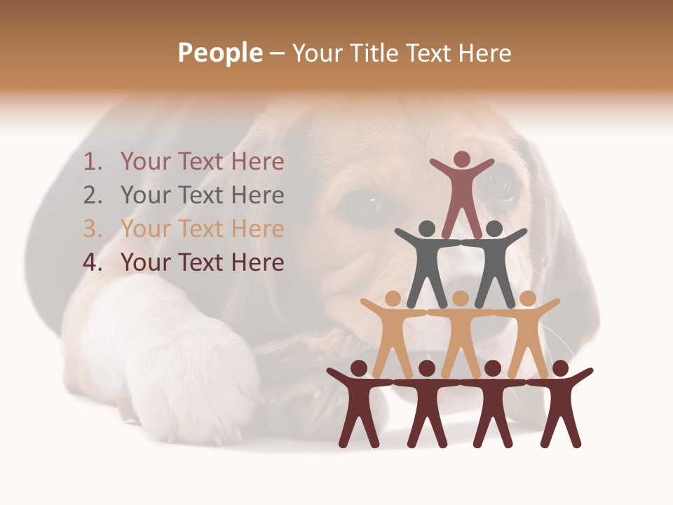 A Dog Laying Down With A Bone In Its Mouth PowerPoint Template