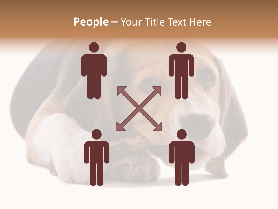 A Dog Laying Down With A Bone In Its Mouth PowerPoint Template