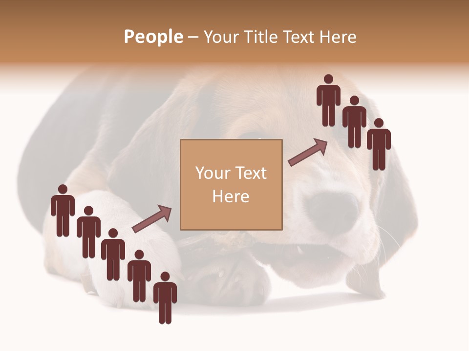 A Dog Laying Down With A Bone In Its Mouth PowerPoint Template