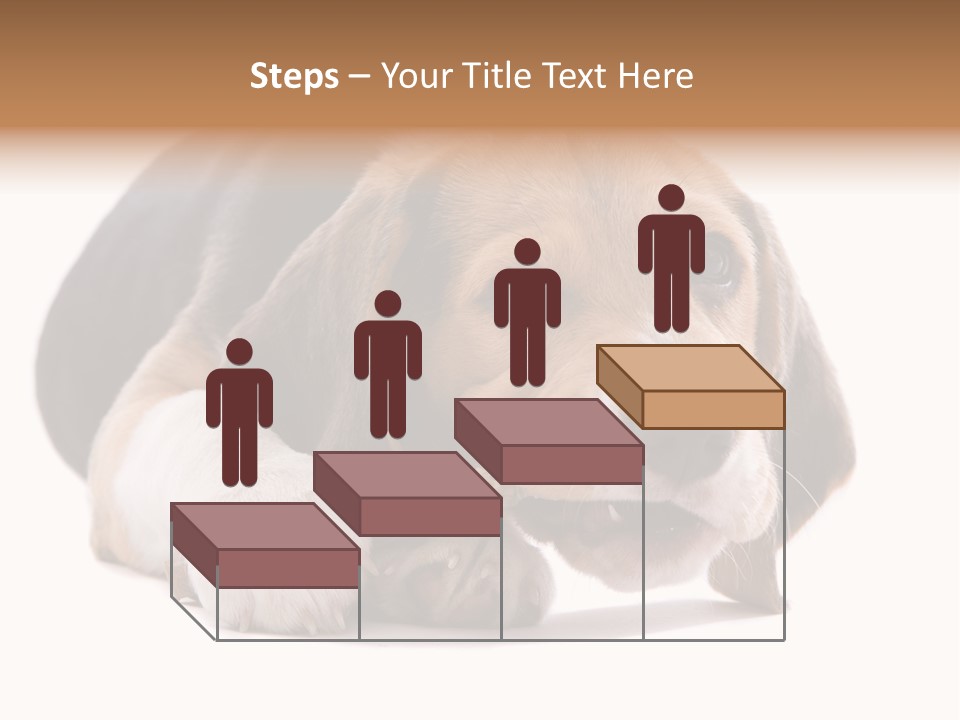 A Dog Laying Down With A Bone In Its Mouth PowerPoint Template