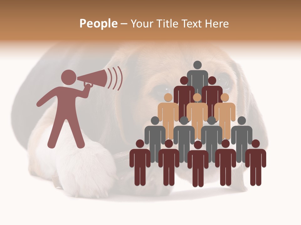 A Dog Laying Down With A Bone In Its Mouth PowerPoint Template