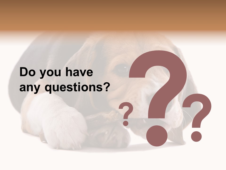 A Dog Laying Down With A Bone In Its Mouth PowerPoint Template