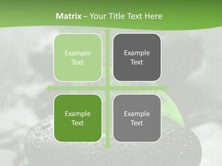 A Group Of Rocks With Green Leaves On Them PowerPoint Template