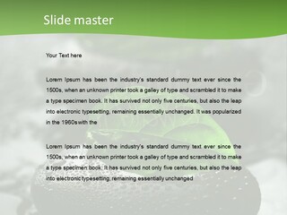 A Group Of Rocks With Green Leaves On Them PowerPoint Template