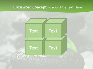 A Group Of Rocks With Green Leaves On Them PowerPoint Template