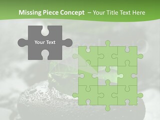 A Group Of Rocks With Green Leaves On Them PowerPoint Template