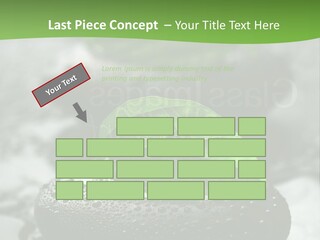 A Group Of Rocks With Green Leaves On Them PowerPoint Template