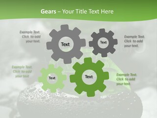 A Group Of Rocks With Green Leaves On Them PowerPoint Template