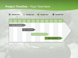 A Group Of Rocks With Green Leaves On Them PowerPoint Template