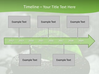 A Group Of Rocks With Green Leaves On Them PowerPoint Template