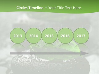 A Group Of Rocks With Green Leaves On Them PowerPoint Template