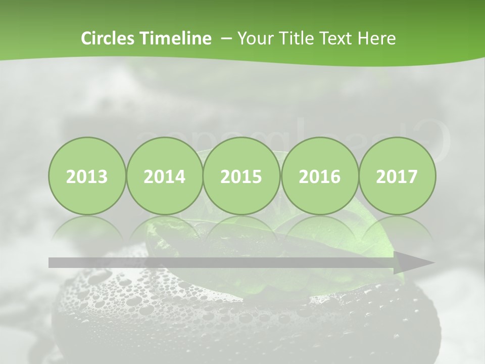 A Group Of Rocks With Green Leaves On Them PowerPoint Template