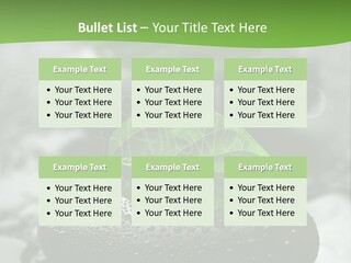 A Group Of Rocks With Green Leaves On Them PowerPoint Template