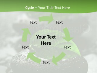 A Group Of Rocks With Green Leaves On Them PowerPoint Template