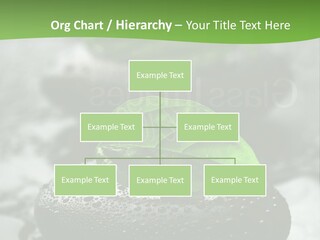 A Group Of Rocks With Green Leaves On Them PowerPoint Template