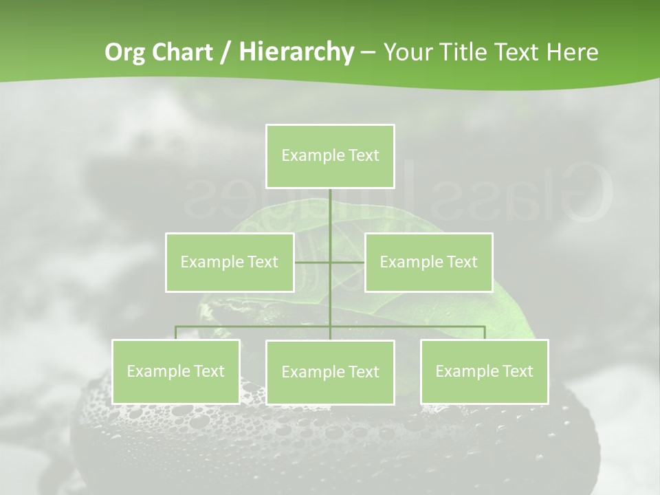 A Group Of Rocks With Green Leaves On Them PowerPoint Template