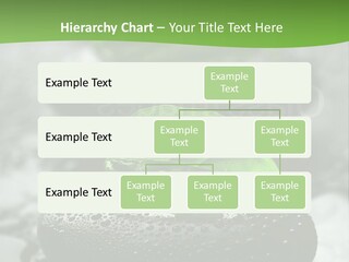 A Group Of Rocks With Green Leaves On Them PowerPoint Template