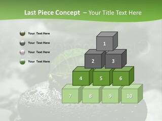 A Group Of Rocks With Green Leaves On Them PowerPoint Template