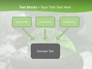 A Group Of Rocks With Green Leaves On Them PowerPoint Template