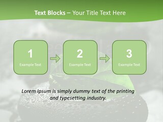A Group Of Rocks With Green Leaves On Them PowerPoint Template