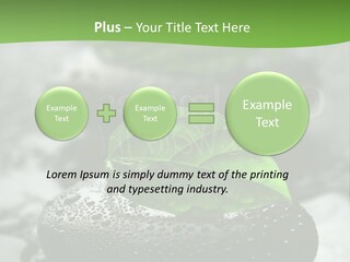 A Group Of Rocks With Green Leaves On Them PowerPoint Template