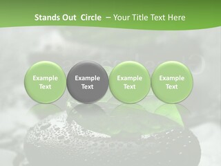 A Group Of Rocks With Green Leaves On Them PowerPoint Template