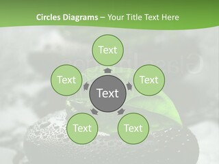 A Group Of Rocks With Green Leaves On Them PowerPoint Template