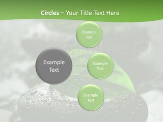 A Group Of Rocks With Green Leaves On Them PowerPoint Template