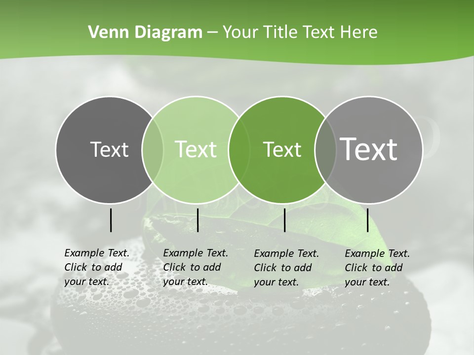 A Group Of Rocks With Green Leaves On Them PowerPoint Template