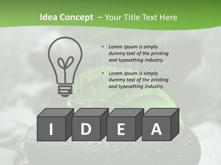 A Group Of Rocks With Green Leaves On Them PowerPoint Template