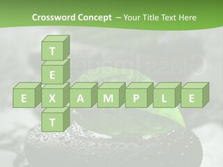 A Group Of Rocks With Green Leaves On Them PowerPoint Template