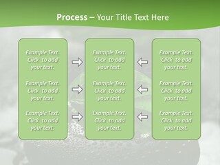 A Group Of Rocks With Green Leaves On Them PowerPoint Template