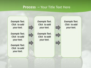 A Group Of Rocks With Green Leaves On Them PowerPoint Template