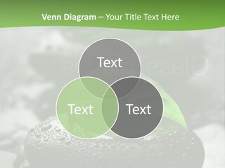 A Group Of Rocks With Green Leaves On Them PowerPoint Template